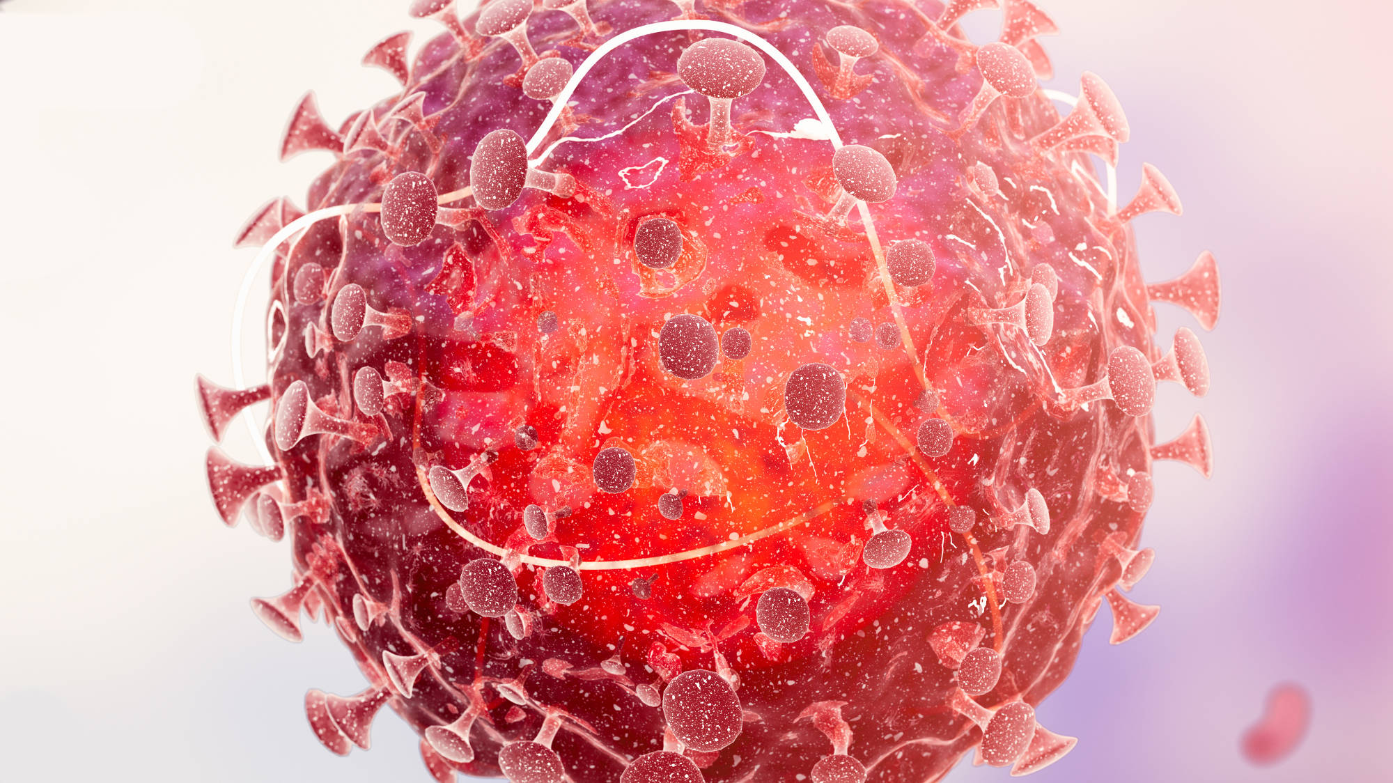 Virus corona